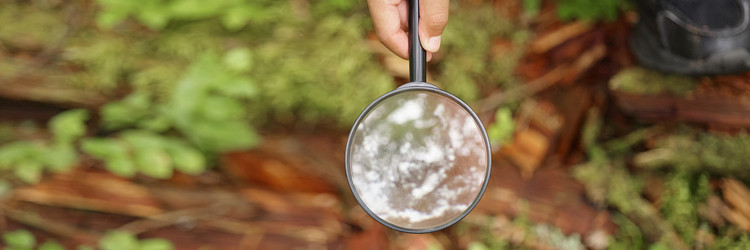 Similar image 22238298