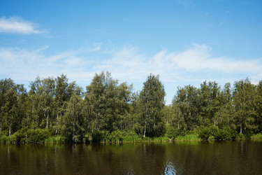 Similar image 22240552