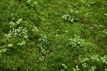 Similar image 22240886