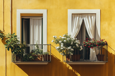 Similar image 22242324