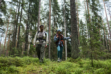 Similar image 22240938