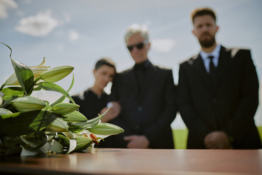 Similar image 22238005