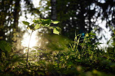 Similar image 22237894