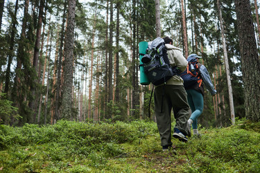 Similar image 22240940