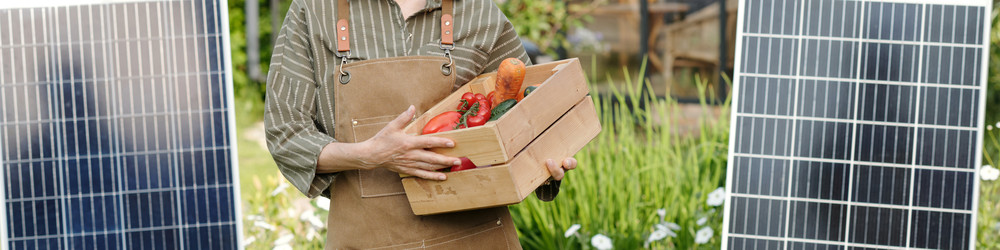 Similar image 22239429