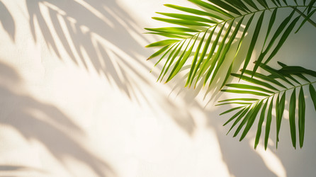 Similar image 22242301