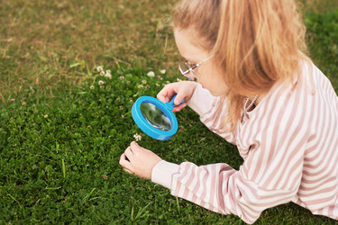 Similar image 22240295