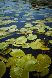 Similar image 22240588