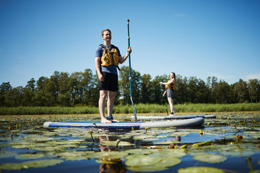 Similar image 22240583