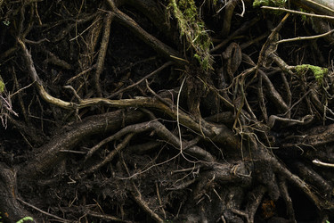 Similar image 22240865