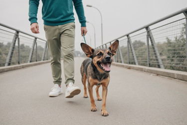 Similar image 22242457