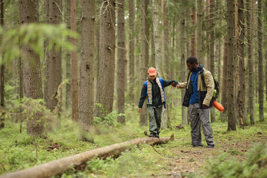 Similar image 22238349