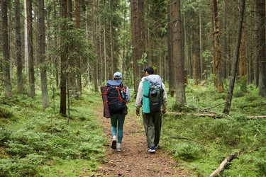 Similar image 22240919