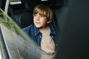 Similar image 22240201