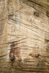 Similar image 22237897