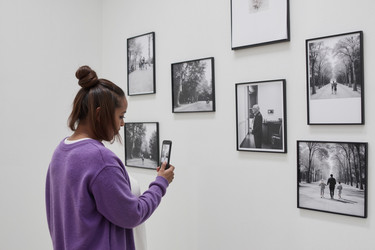 Similar image 22242616