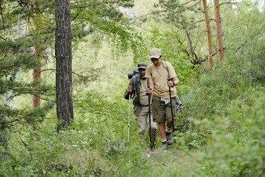 Similar image 22239226