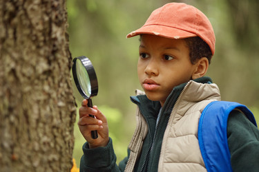 Similar image 22238358