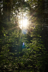 Similar image 22237892