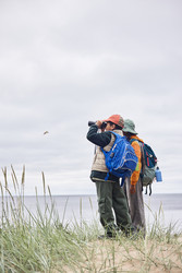 Similar image 22238312