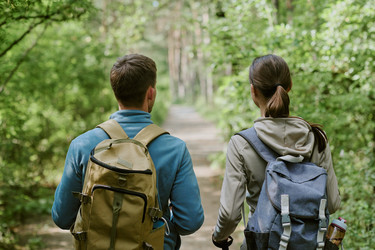 Similar image 22241311