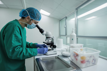 Similar image 22242380