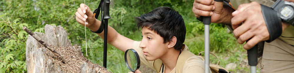 Similar image 22239242