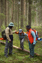 Similar image 22238307