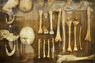 Similar image 22238235