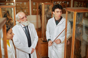 Similar image 22238262