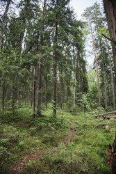 Similar image 22238326