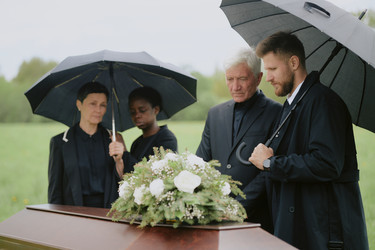 Similar image 22237983