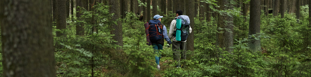 Similar image 22240853