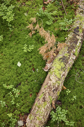 Similar image 22238370