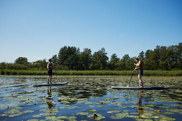 Similar image 22240579