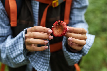 Similar image 22240929