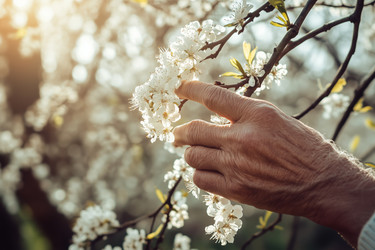 Similar image 22242248