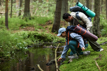 Similar image 22240931