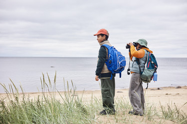 Similar image 22238310