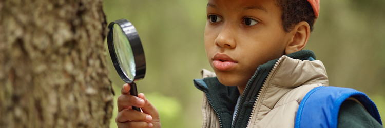 Similar image 22238296