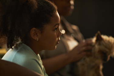 Similar image 22240649