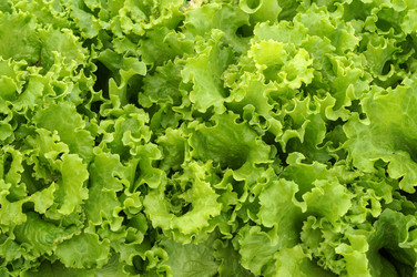 Similar image 22243347