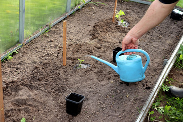 Similar image 22235855