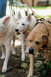 Similar image 22245481