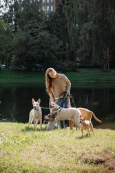 Similar image 22258047