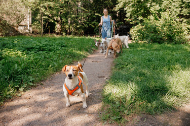 Similar image 22245483