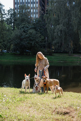 Similar image 22258048