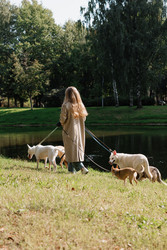 Similar image 22258049