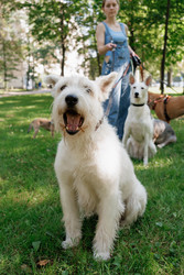 Similar image 22245484