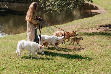 Similar image 22258050